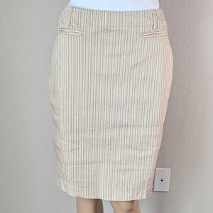 Ann Taylor Skirt Women's Size 6 Tan Striped Pockets Back-Zip & Hook Black Label
